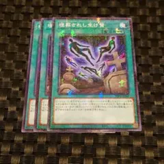 遊戯王 埋葬されし生け贄　3枚