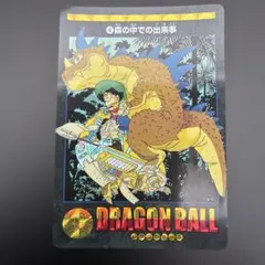 ドラゴンボール ビジュアルアドベンチャー 4 森の中での出来事 - メルカリ