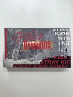 CLIO Pro Eye Palette straykidsコラボ