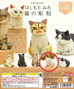 TAKA様 リクエスト 2点 まとめ商品