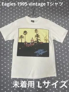 岡本太郎　USA製EAGLES Hotel California Tシャツ 2025年最新】EAGLES hotel california tシャツの人気アイテム