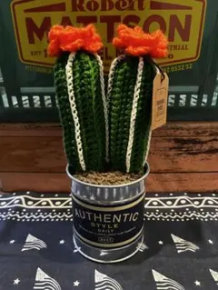 毛糸サボテンハンドメイドアメリカン雑貨植物インテリアダルトンニコアンドあみぐるみのサムネイル
