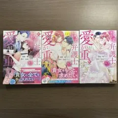 執着弁護士の愛が重すぎる 1〜3⭐️オススメ3冊セット‼️