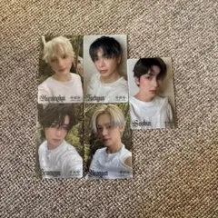 Item thumbnail for item 4b86e883-aaad-42e7-b761-b20b07007d75