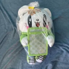 【 ジェ猫　カードケース付き BIGぬいぐるみ 『 佐野 玲於 』】