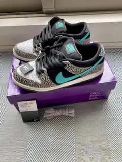 25cm/ナイキNIKE SB DUNKダンクロー エレファント スケートボード 