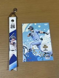 ネビン　26 ボンフィン　本革製ボンフィン　カード