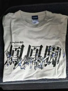 COSPA 鳳凰脚 Tシャツ 餓狼伝説SPECIAL Lサイズ グレー