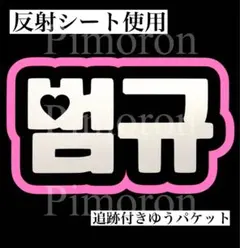 TXT ボムギュ 反射シート うちわ文字 ハングル ネームボード 韓国 トレカ