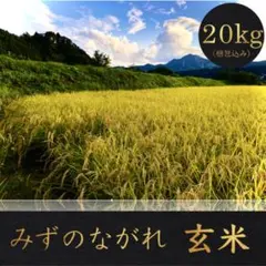 品質保証】玄米 20kg コシヒカリ お米 米 群馬県産 色彩選別済み 