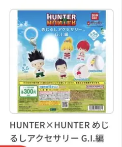 HUNTER×HUNTER めじるしアクセサリー G.I.編 セミコンプ