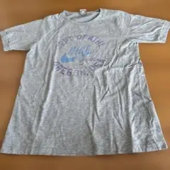 Nike グレー ラグランTシャツ M