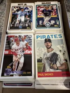 Item thumbnail for item 2cb576ac-eb28-4755-9052-3c6df531fdff