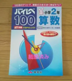 ハイレベ100