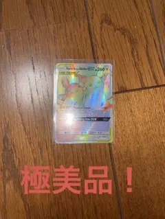 ポケモンカード Raichu & Alolan Raichu GXのサムネイル