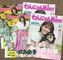 松村沙友理 わんにゃんウォーカー 2023年6月7月 乃木坂46 計4点