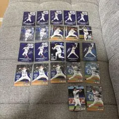 ヤクルト 東京ヤクルトスワローズ プロ野球チップス 22枚