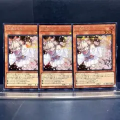 遊戯王　灰流うらら　シク　3枚セット　QCDB