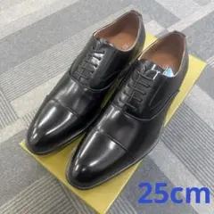 Item thumbnail for item 52fce603-c335-436b-8f21-3c9ae48ff694