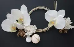 髪飾り 胡蝶蘭 卒業式 成人式 結婚式