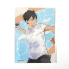 ハイキュー 影山飛雄 水遊び クリアカード