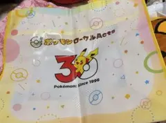 ポケモン ローカルActs ショッパー ポケモン30周年記念 限定 新品未