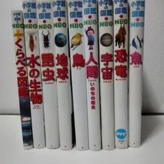 Item thumbnail for item 2e2e1e51-f524-476a-8e31-78e4fcf19339