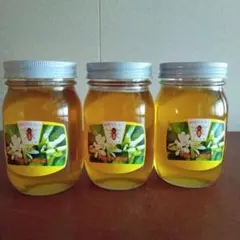 Rikoさん専用国産みかん蜂蜜1200g×3 Rikoさん専用国産みかん蜂蜜1200g×3 - メルカリ