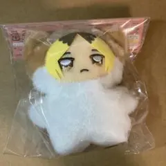 ☆*☆様 ハイキュー　ちみけも　孤爪研磨