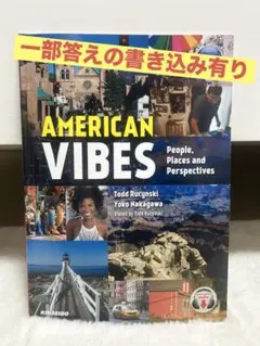 American Vibes People, Places and Pers..