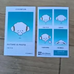 サンリオキャラクターズ トレーディング証明写真風スマロイド こぎみゅん