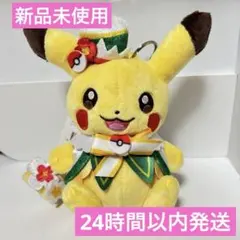 ポケパークカントー ぬいぐるみ マスコット イーブイ キーホルダー