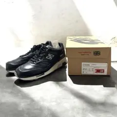 Item thumbnail for item 3e0378aa-955d-46be-b61a-9ff282a1342a