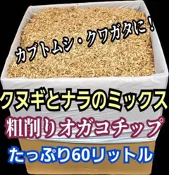 Item thumbnail for item ab813928-717f-4360-9804-2380e6008de6