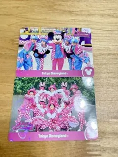 【即日発送⭕️】パルパルーザ　ミニー　コレクションカード