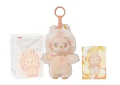 ラブブ　マカロン　ビッグイントゥエナジー　イニシャル　まとめ売り POPMART エナジー マカロン ラブブ アソート 空箱3個セット