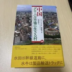 中国 グローバル市場に生きる村