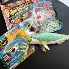 シャークアタック＆coローソン限定ver.アンドコ レアXXLサイズホホジロサメ