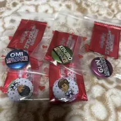 三代目 J Soul Brothers 缶バッジ セット