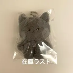 ZB1 zeroni ぬいぐるみバッグ ウンニニ ジウン - メルカリ