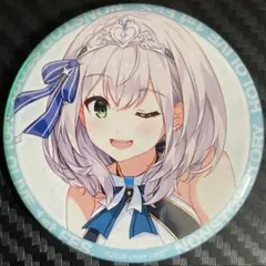 ホロライブ ノンストップ・ストーリー 缶バッジ全部セット hololive ノンストップ缶バッジ ときのそら 1st fes. ノンストップ