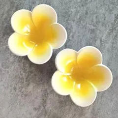 プルメリア　陶器　2個