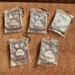 ミャオパウズ キーホルダー5個セット