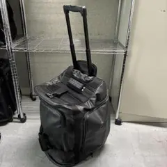 Item thumbnail for item d3229fac-142d-4836-9def-b463723174a5