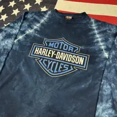 激レア 00s 雷サンダーデザイン ビンテージ Tシャツ USA製ナス紺