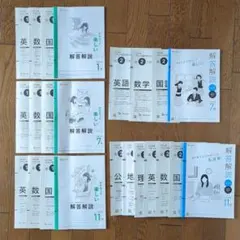 ベネッセ 総合学力テスト【2023高1】【2024年高2】 全5回まとめのサムネイル