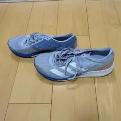 Item thumbnail for item b5827646-f09e-44da-b6d1-8dd8fc632295