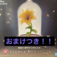 一番くじディズニープリンセス ラプンツェル ラストワン賞