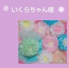 いくらちゃん様専用