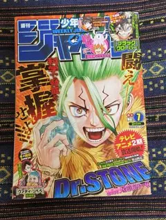 週刊少年ジャンプ 2019年 No.48 DR.STONE - メルカリ